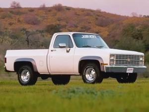 Chevrolet C-K-Series by Xenon 1973 года